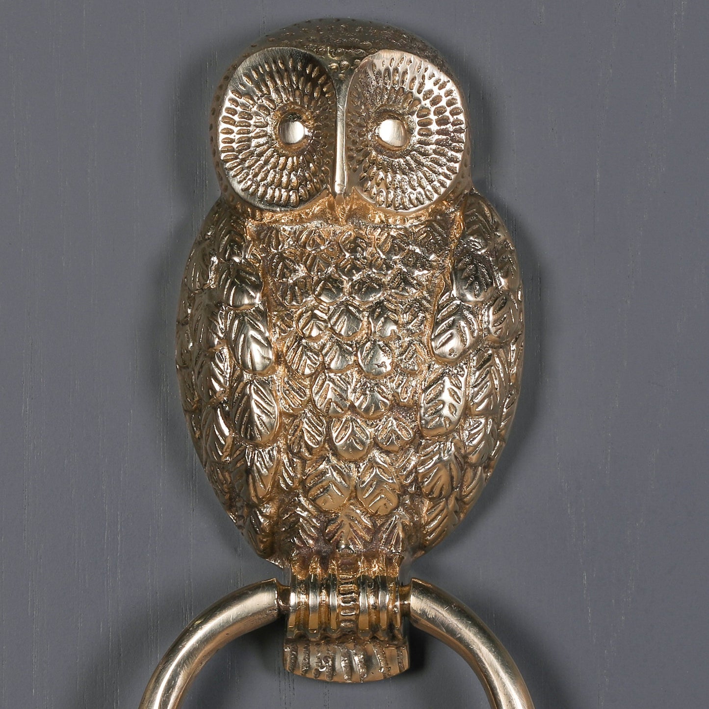 Brass Owl Door Knocker CasaFenix