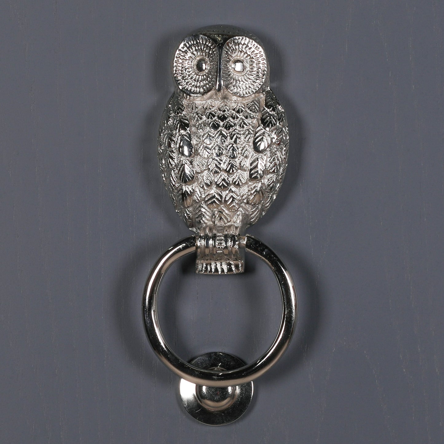 Chrome Owl Door Knocker CasaFenix