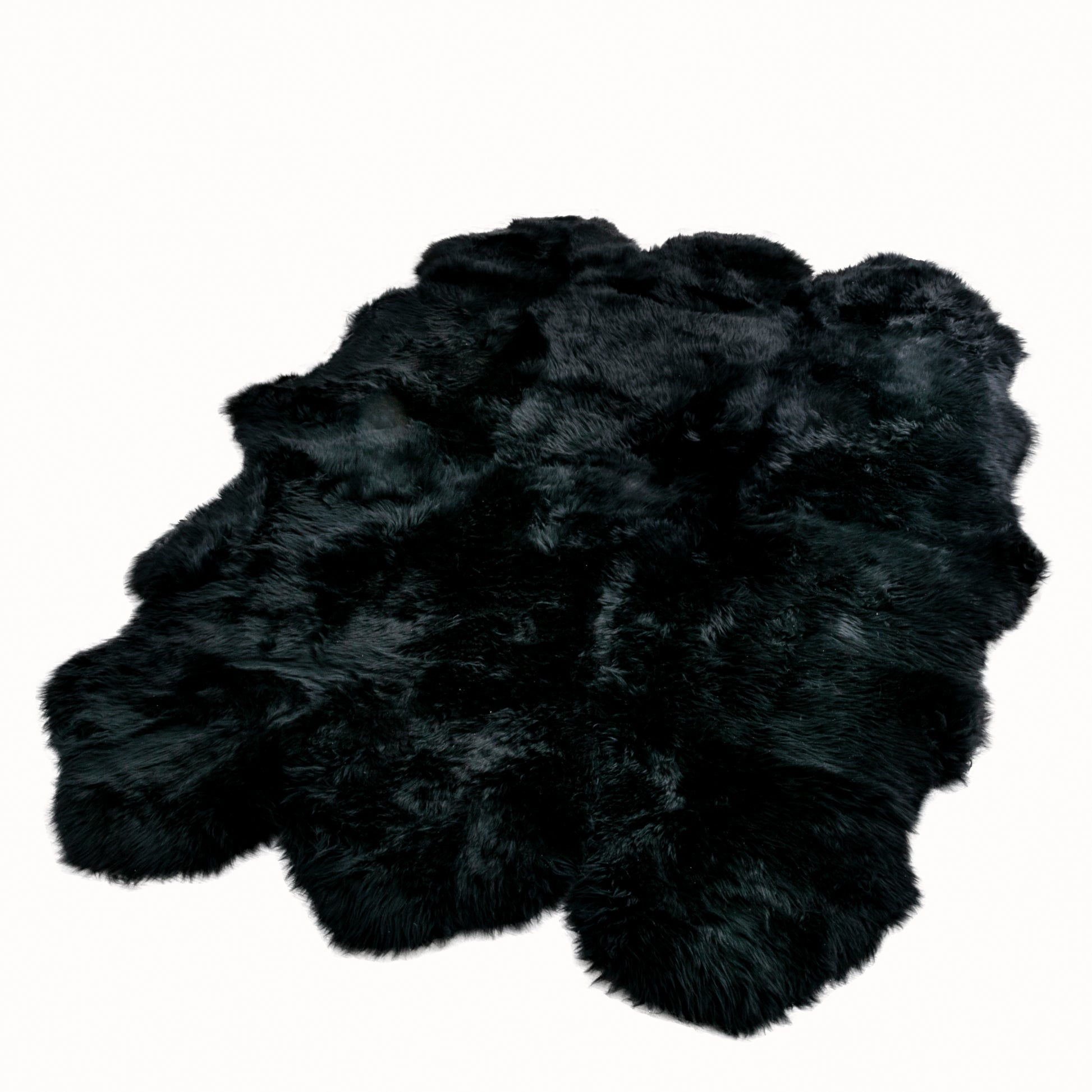 Sextuplet Black Genuine Sheepskin Rug 240 x 180cm - CasaFenix