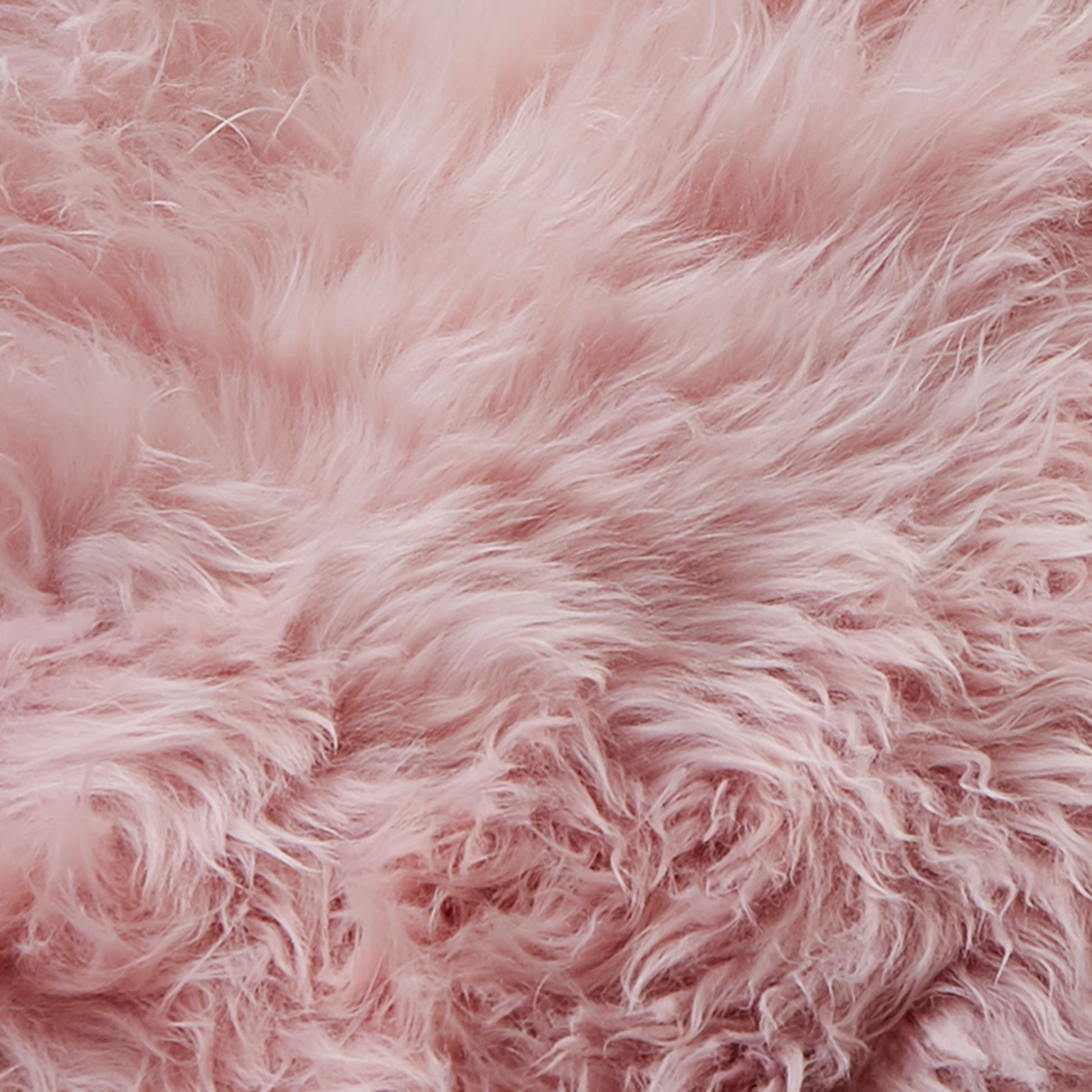 Blush Pink Sheepskin Rug XXL Rugs CasaFenix