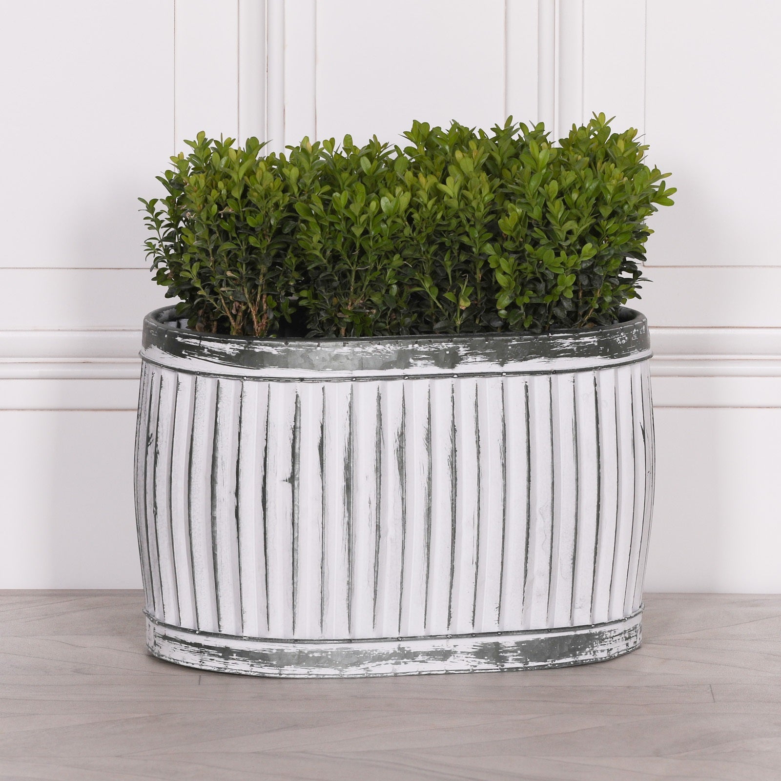 Dolly Tub Oval Metal Planter - Medium CasaFenix