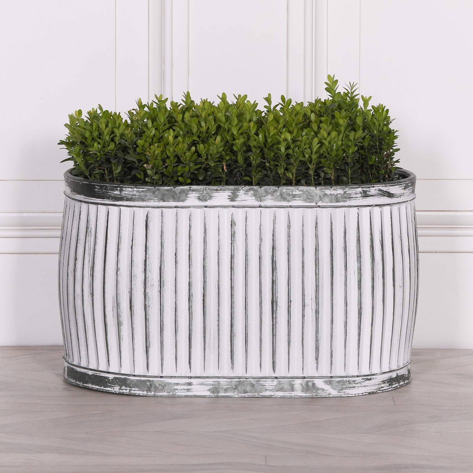 Dolly Tub Oval Metal Planter - Medium